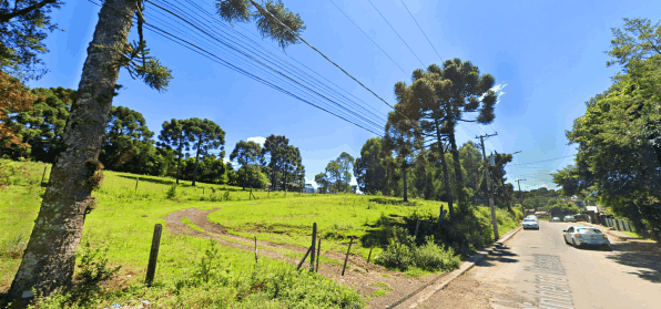 Terrenos à venda em Canela - RS