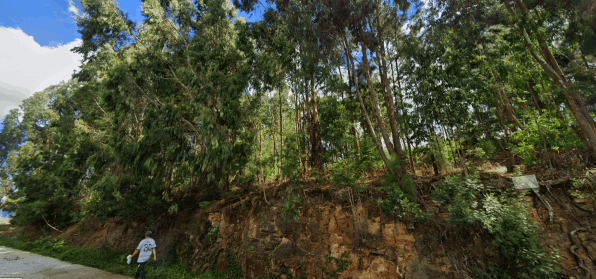 Terrenos à venda em Canela - RS