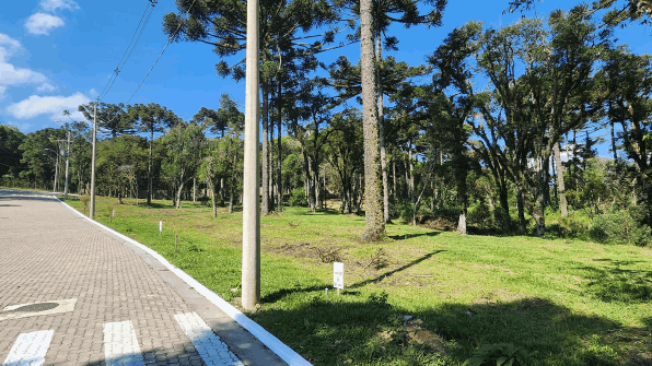 Quintal Verde, Loteamento